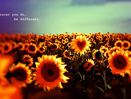 特价优惠的在线短信网页版免费版